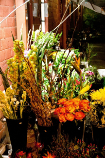 Blooming Alley Florist