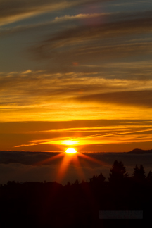 Berkeley Hills