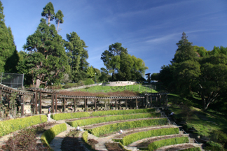 Berkeley Hills