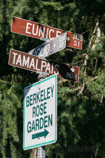 Berkeley Hills