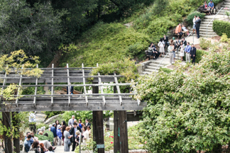 Berkeley Hills