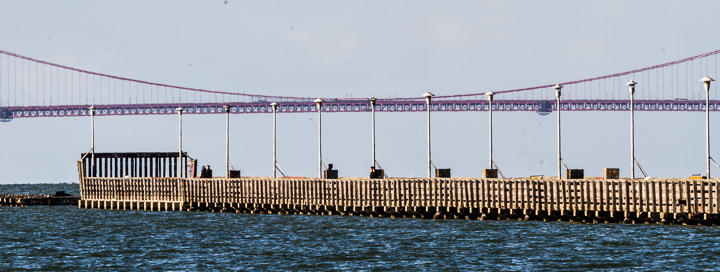 High Tide Berkeley Marina