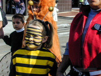 Thousand Oaks School - Bee Girl Costume