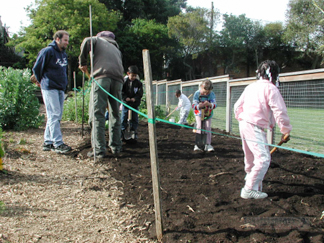 Thousand Oaks School - Planting