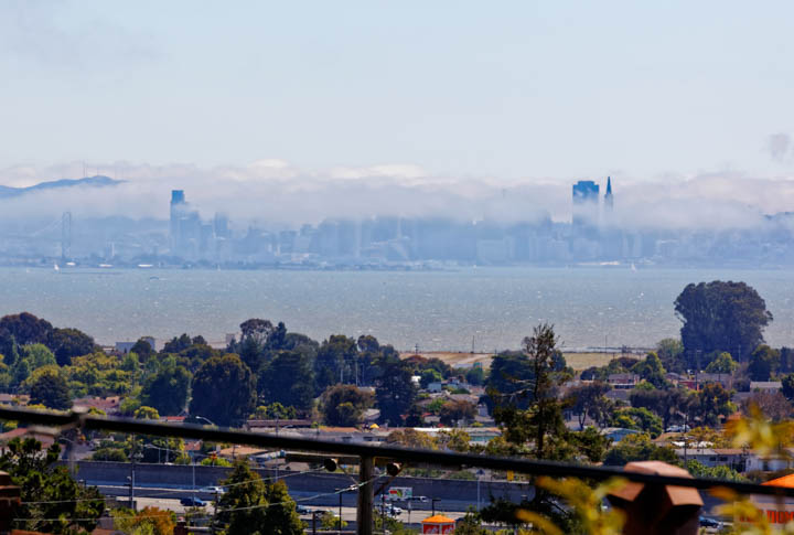 North Berkeley Condo