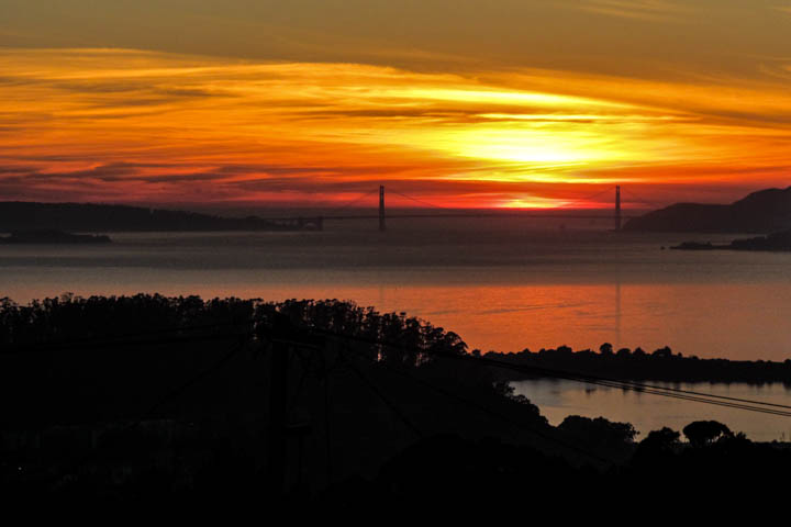 North Berkeley Condo